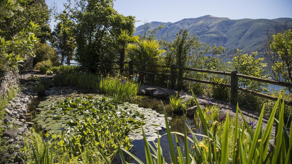 Hotel Parkhotel Brenscino